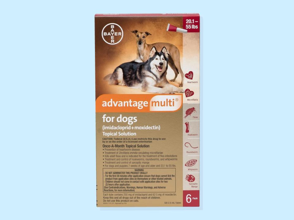 A box of Advantage multi for dogs is set on a blue background, one of the best dog dewormers in 2023.