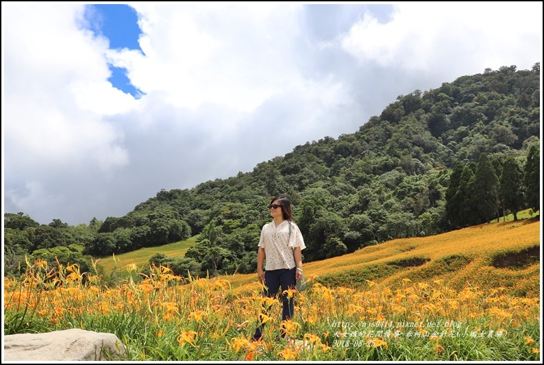 赤柯山金針花(小瑞士農場)-2018-08-31.jpg