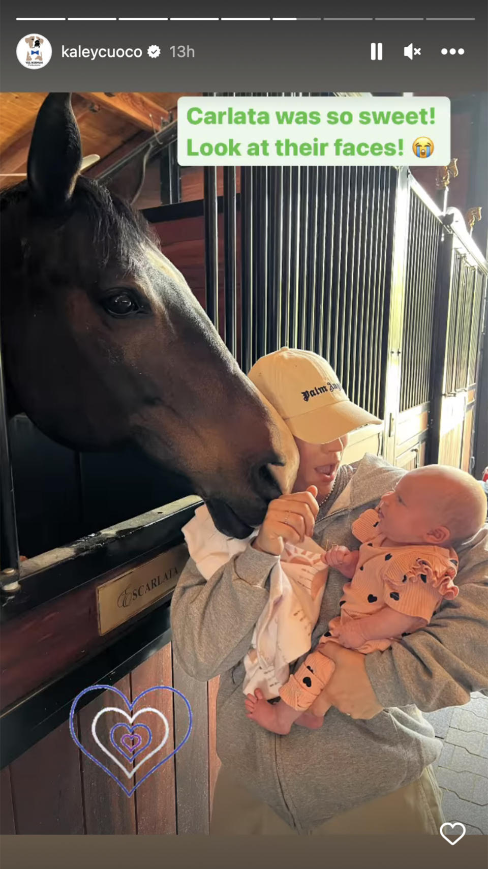 Cuoco's horse seemed intrigued by Matilda. (@kaleycuoco via Instagram)