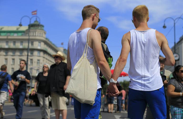 Participants attend the Rainbow Parade march, on June 15, 2013 in Vienna, whose reputation for tolerance is in trouble just as it seeks to attract more gay tourists