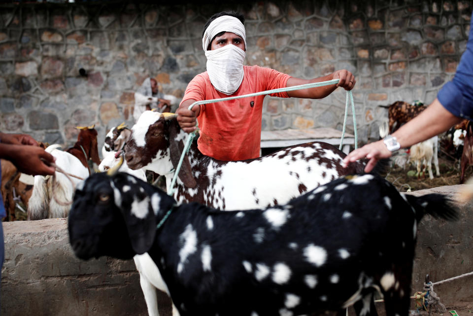 A trader using a cloth as a protective face mask deals with customers at a livestock market ahead of the Muslim festival of Eid al-Adha, amidst the coronavirus disease (COVID-19) outbreak in New Delhi, India, July 28, 2020. REUTERS/Adnan Abidi TPX IMAGES OF THE DAY