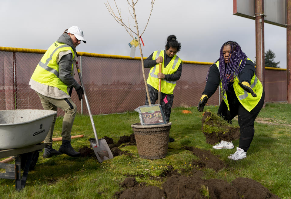 Weyerhaeuser employee Teri Rongen, left, student Troy Rath, 15, and Tacoma Public Schools board member Chelsea McElroy work on planting a tree in the fields behind Mount Tahoma High School during an event with American Forests, Friday, April 14, 2023, in Tacoma, Wash. (AP Photo/Lindsey Wasson)