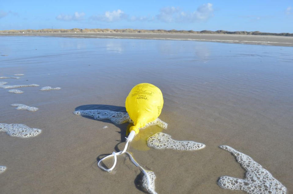 Blue Planet Society claims that hundreds of the balloons are washing up SWNS