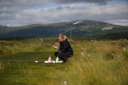 Kathryn Bennett, a postgraduate student in earth sciences at the University of New Hampshire, extracts samples of methane from funnels placed in an area of marshland at a research post at Stordalen Mire near Abisko