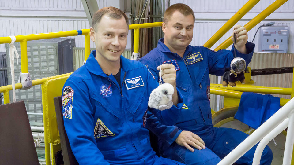 Der NASA-Astronaut Nick Hague und der Roskosmos-Kosmonaut Alexey Ovchinin halten ihre Sojus MS-10-Zero-G-Indikatoren hoch, darunter 