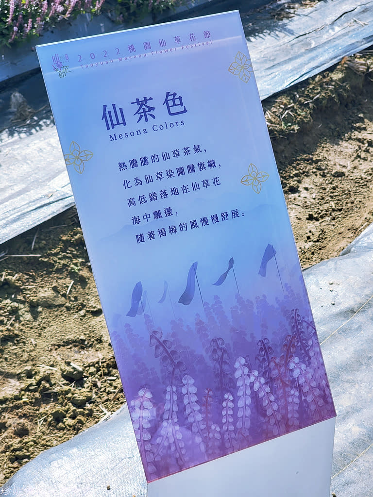 2022桃園仙草花節～仙茶之舞