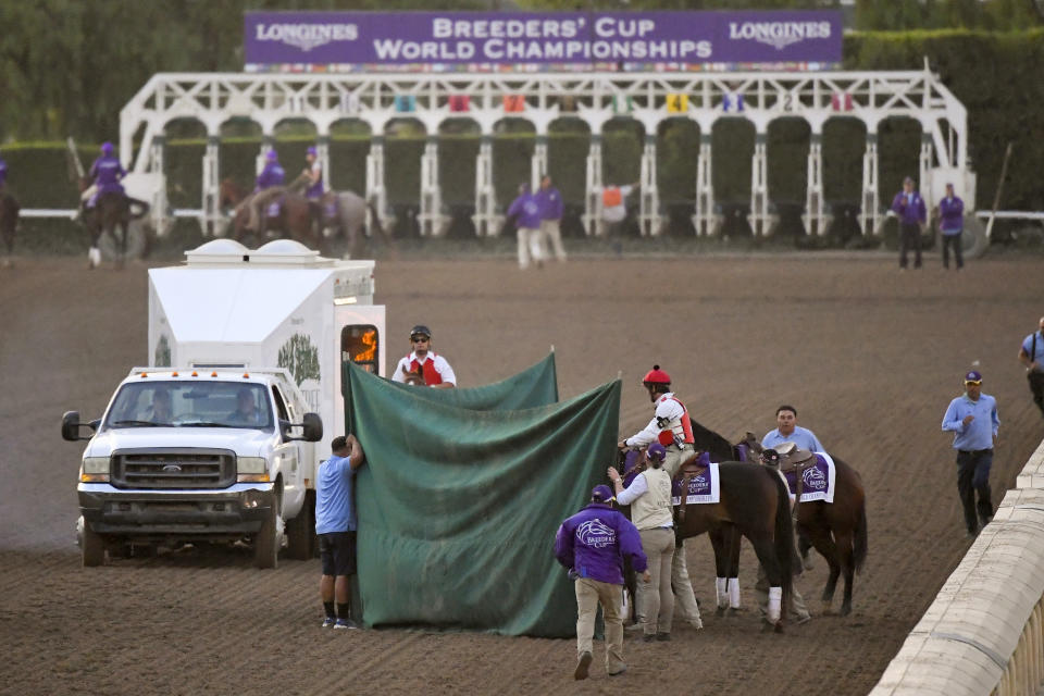 FILE - Mongolian Groom is treated after the Breeders' Cup Classic horse race at Santa Anita Park, in Arcadia, Calif., Nov. 2, 2019. Breeders' Cup Classic. Horse deaths marred last year’s Kentucky Derby, Preakness and Breeders’ Cup, with officials finding no single factor to blame.. (AP Photo/Mark J. Terrill, File)