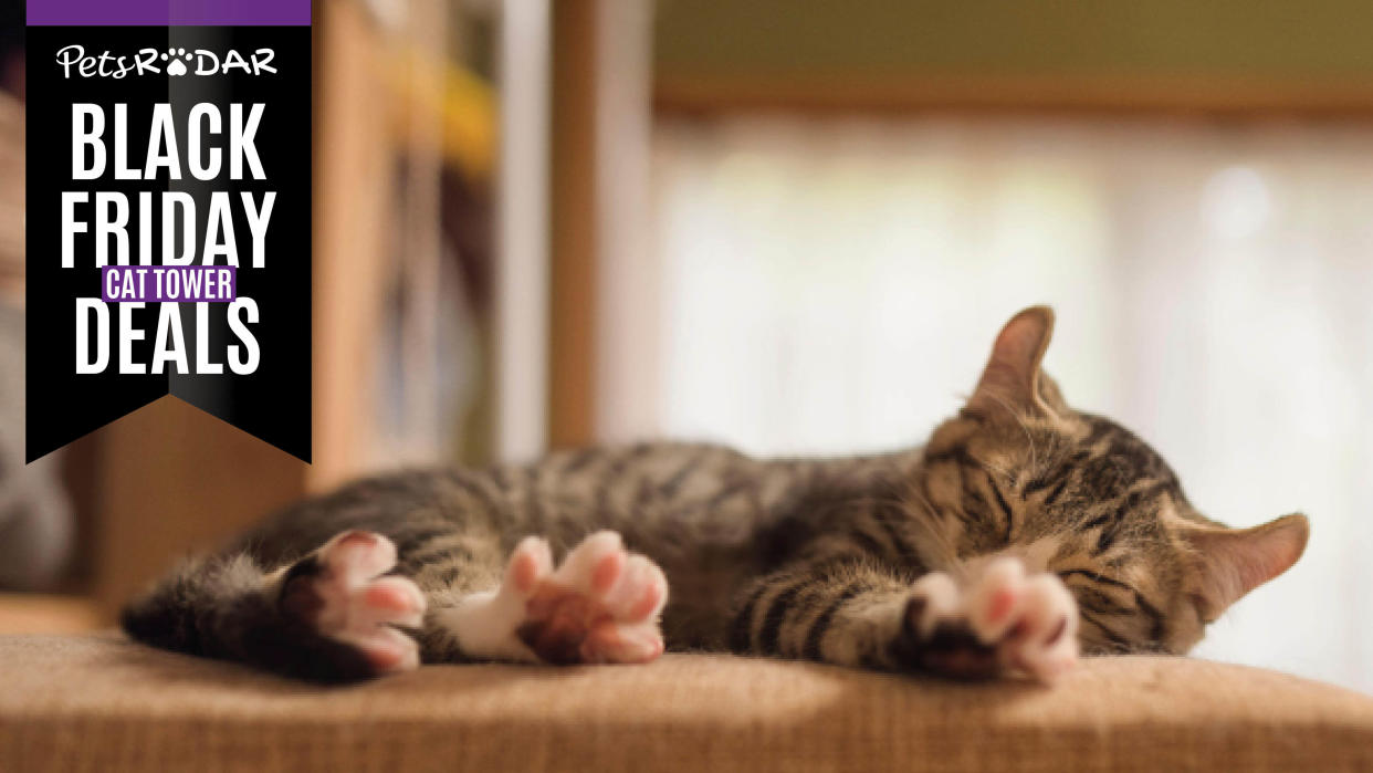  Cat laying on a cat tree with Black Friday cat tower deals graphic. 