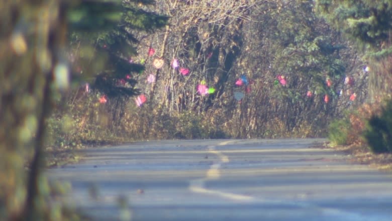 City of Edmonton apologizes for mistakenly taking down 'healing forest'