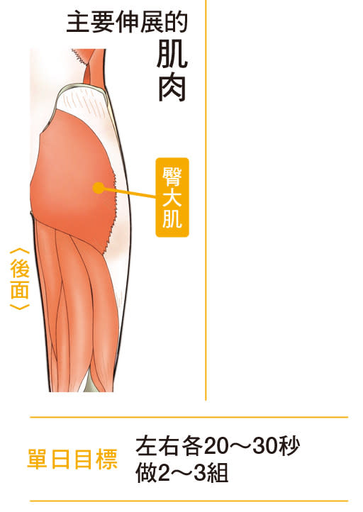 淺坐在椅子的伸展操，可有效伸展臀部肌肉。