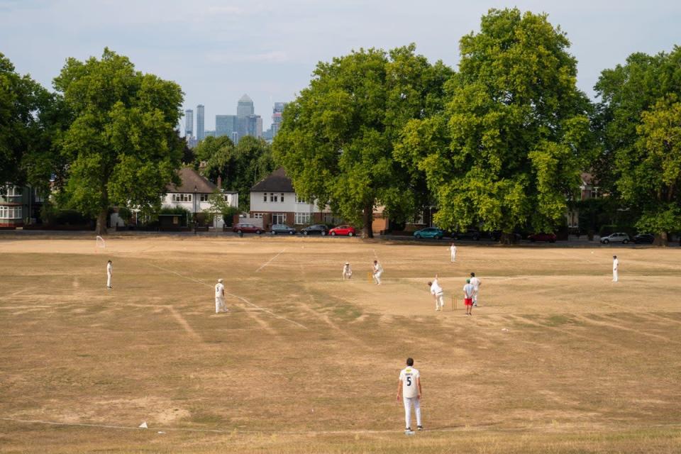 Millfields Cricket Club play at Hilly Fields park, in south-east London (Dominic Lipinski/PA) (PA Wire)