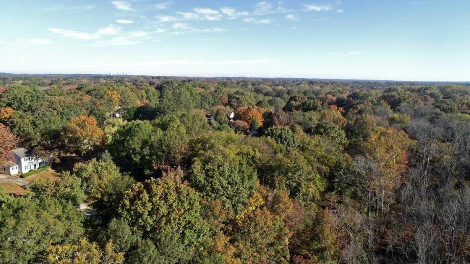 A new study, by the firm PlanIT Geo, said Charlotte’s canopy covered more than 47% of the city in 2022.