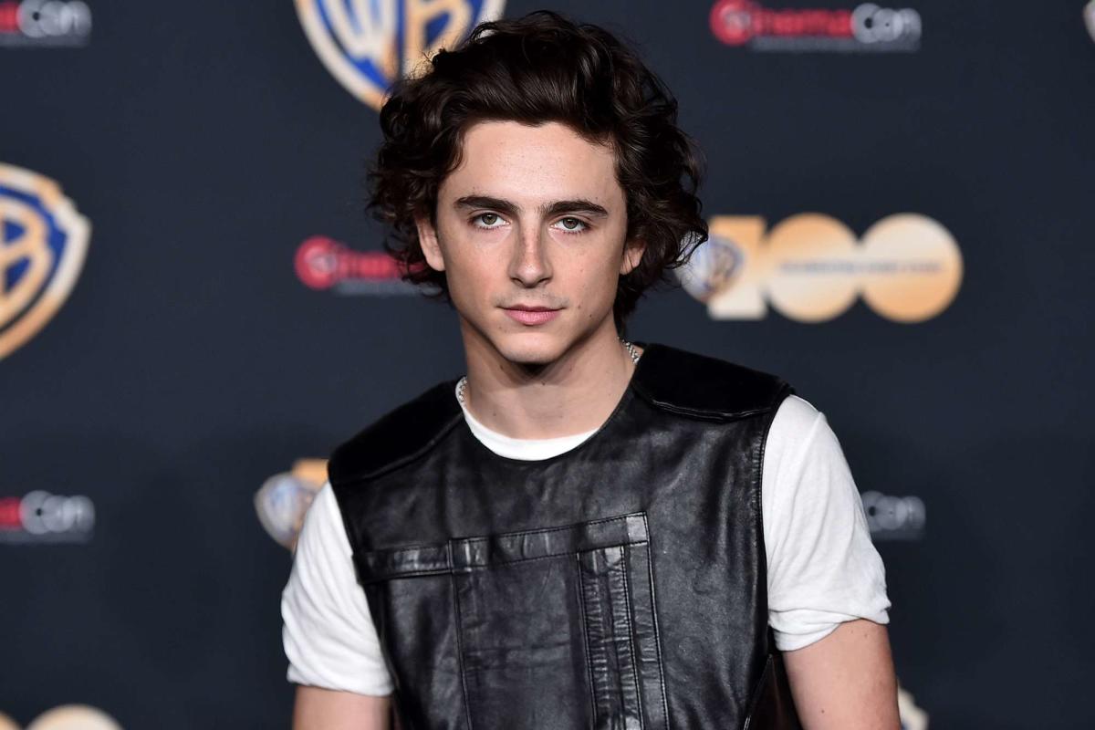 Timothée Chalamet jokes he would have played a 'reject French' Ken in “Barbie”