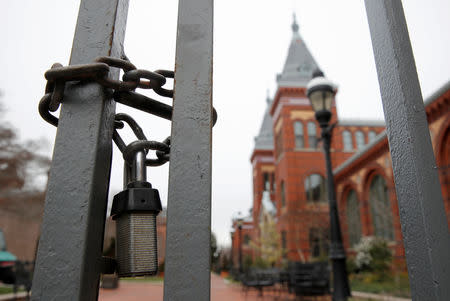 The entrance to the Smithsonian's Enid A. Haupt Garden is padlocked as a partial government shutdown continues, in Washington, U.S., January 7, 2019. REUTERS/Jim Young