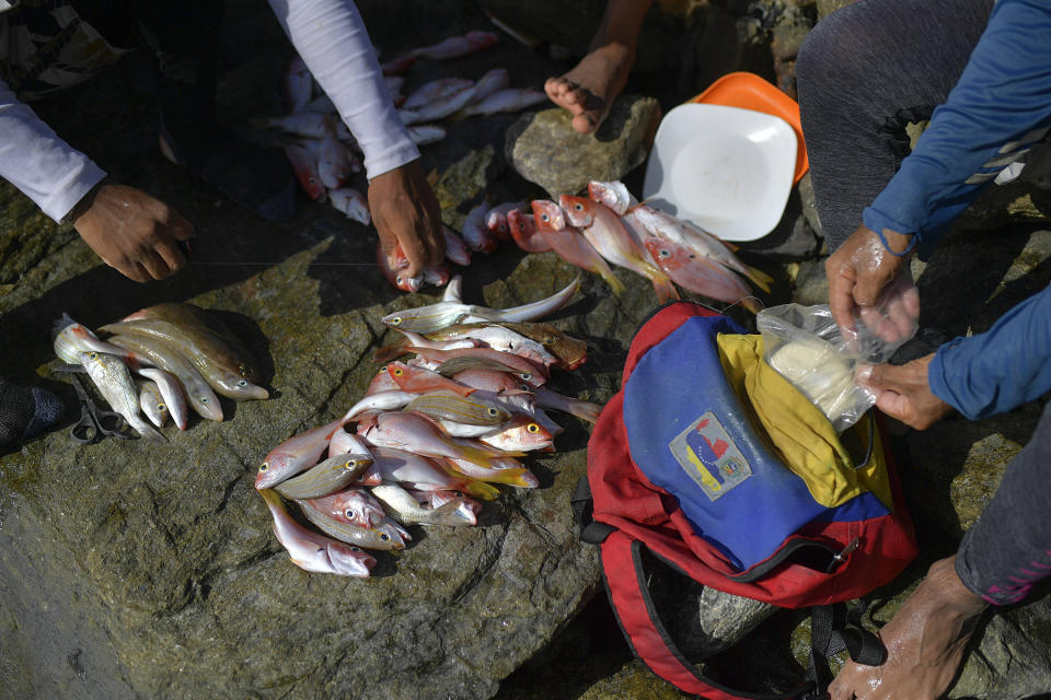 Bricklayers by trade, Jonny Gomez, 22, and Jean Carlos Almeida, 35, prepare to clean their catch of the day on the shore of Playa Escondida in La Guaira, Venezuela, Friday, Aug. 14, 2020. "If we had steady work, we wouldn't risk our lives out there," said Almeida, who is among a number of Venezuelans desperate to feed their families amid the new coronavirus pandemic are heading out to the open sea on inner tubes armed with a hook and line. (AP Photo/Matias Delacroix)