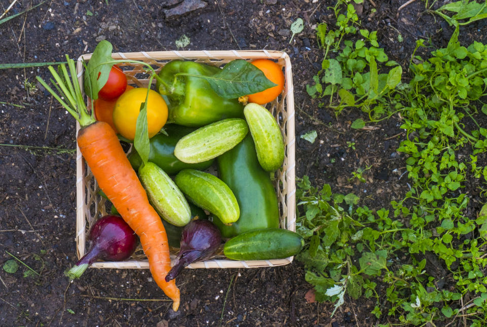 14 Edible Plants to Grow on Your Apartment's Balcony or Patio Garden