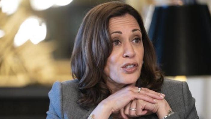 Vice President Kamala Harris speaks Tuesday during a meeting about abortion rights and Roe v. Wade from her ceremonial office at the Eisenhower Executive Office Building on the White House complex in Washington. (Photo: Jacquelyn Martin/AP)