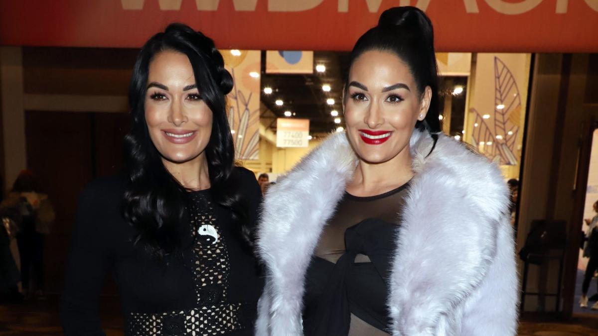 Brie & Nikki Bella's Latest Pregnancy Belly Pic Has Us Literally Seeing ...