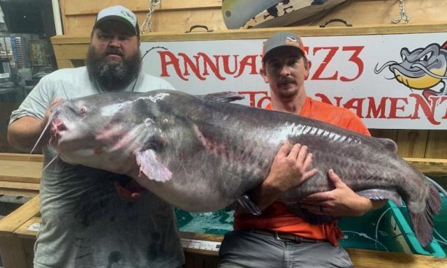 Blue catfish caught 7/8/21 Missouri River bank fishing w/rod and reel.  104lbs : r/Fishing