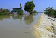 Villagers wade through a flooded area of Dadu, a district in Pakistan's southern Sindh province, Sunday, Aug. 9, 2020. Pakistan's disaster management agency said three days of heavy monsoon rains that triggered flash floods have killed dozens of people in various parts of the country. (AP Photo/Pervez Masih)