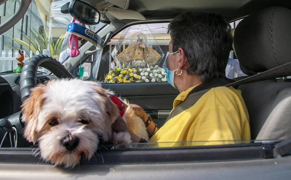 In Florida, you don’t have to restrain your pet in the car while you drive, but if they cause you to drive recklessly, you can be in legal trouble.