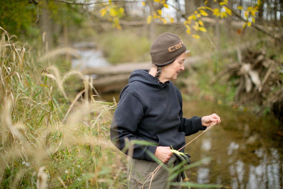 Donna Schwab, a retired wildlife biologist, is always working on her land and stream that she is restoring in North Lewisburg, Ohio, October 25, 2020. The Waters of the US rule had protected the stream and others like it until changes were made by the Trump administration.