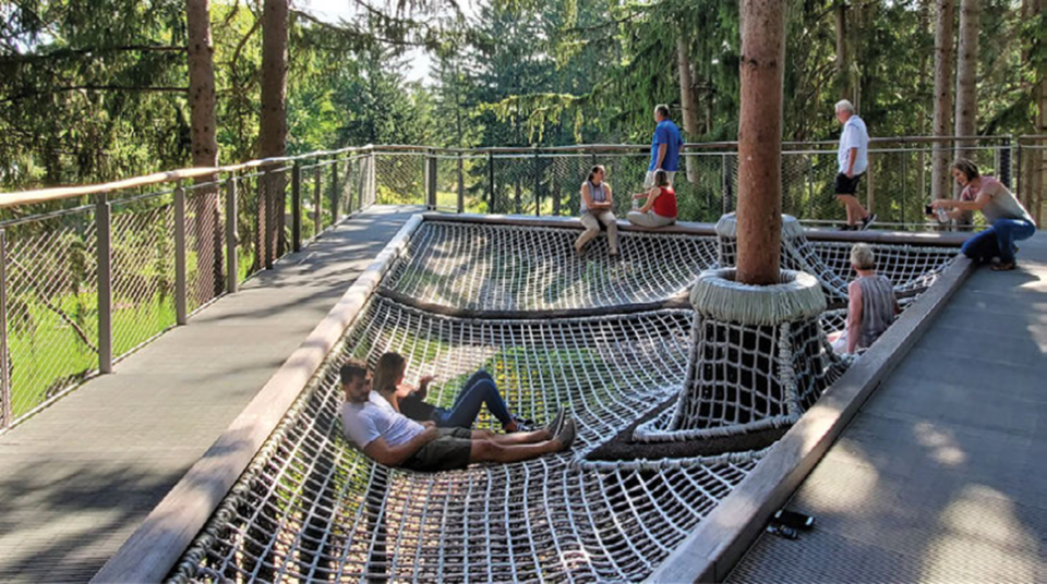 Metro Parks plans to build a canopy walk at Blacklick Woods Metro Park this year. The plan also now includes a hammock-style rope structure and a rope swing bridge with planks that will be handicap accessible.