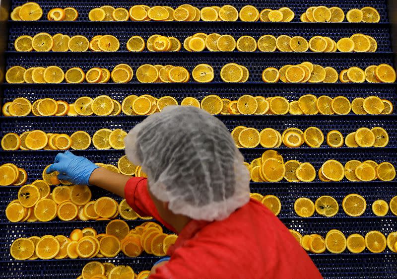 FILE PHOTO: A worker prepares orange slices for drying at the Nim's Fruit Crisps factory, in Sittingbourne