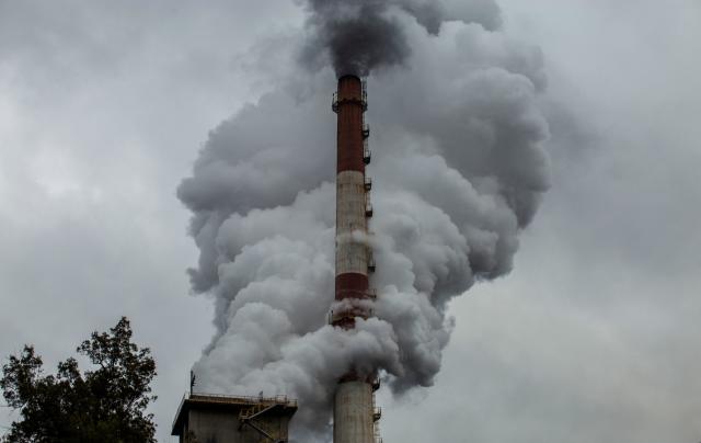 Climate scientists hail Brazil election results as a victory for 'humanity  and life itself