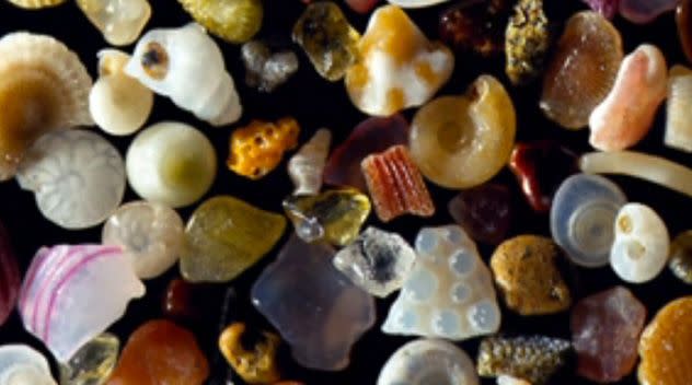 Dr Gary Greenberg uses a special microscope to take zoomed-in images of individual grains of sand. Photo: Yahoo! News