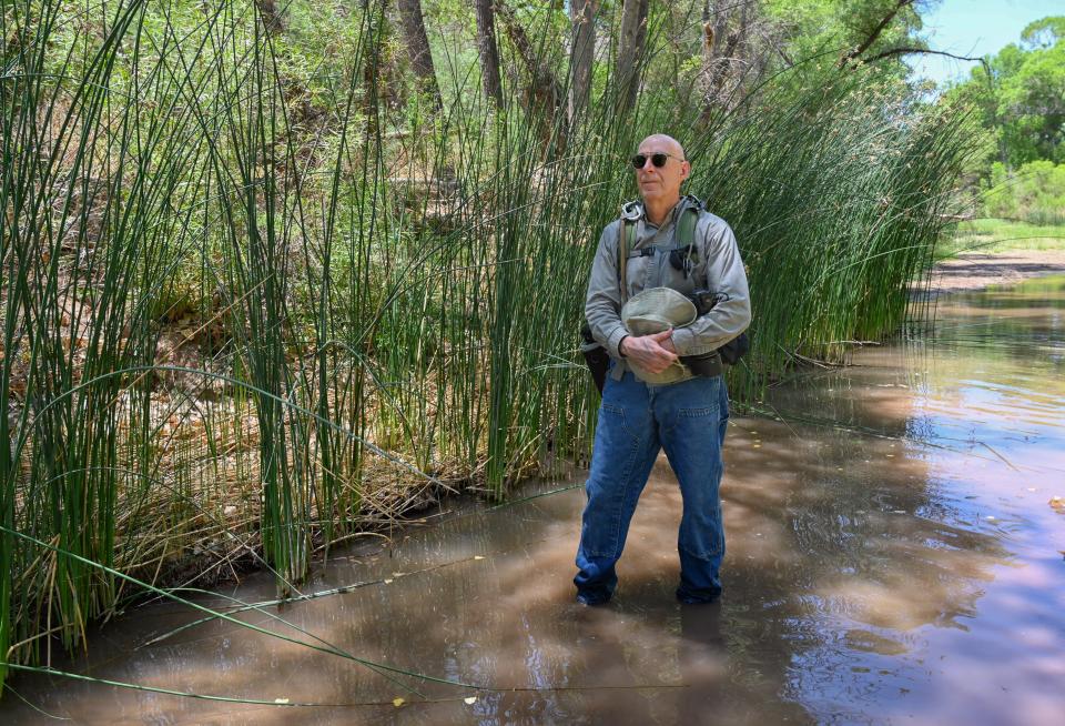 Robin Silver, a co-founder of the Center for Biological Diversity, stands in the San Pedro River in Cochise County, Arizona.