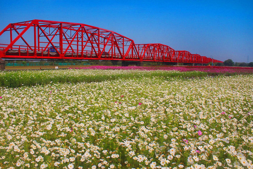 西螺大橋(Photo via Wikimedia, by Cpc3711 ,License: CC BY-SA 4.0，圖片來源：https://zh.wikipedia.org/wiki/File:%E8%A5%BF%E8%9E%BA%E5%A4%A7%E6%A9%8B--%E5%BC%B5%E5%88%A9%E8%81%B0.jpg)