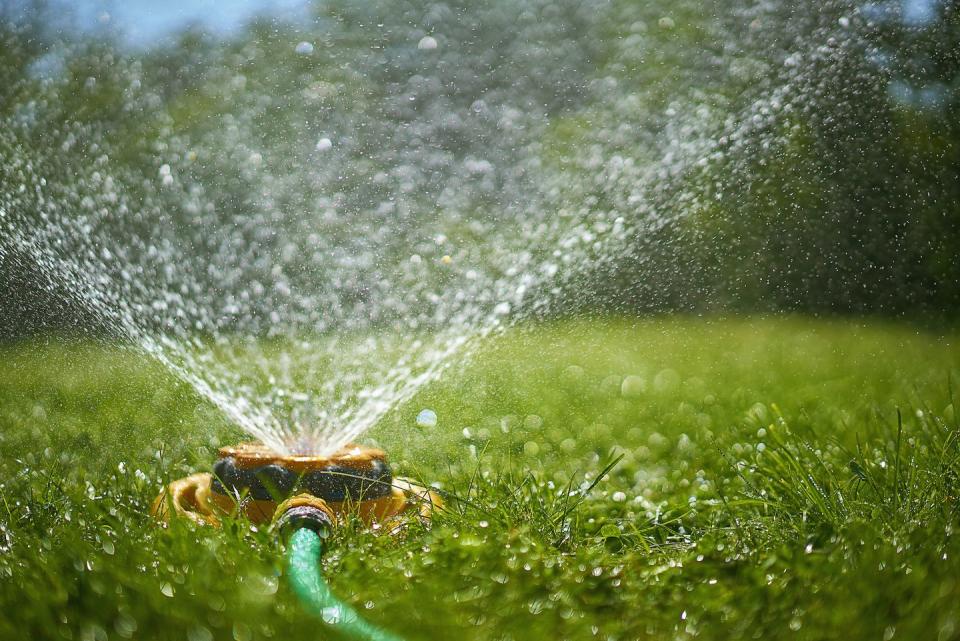 garden sprinkler spraying