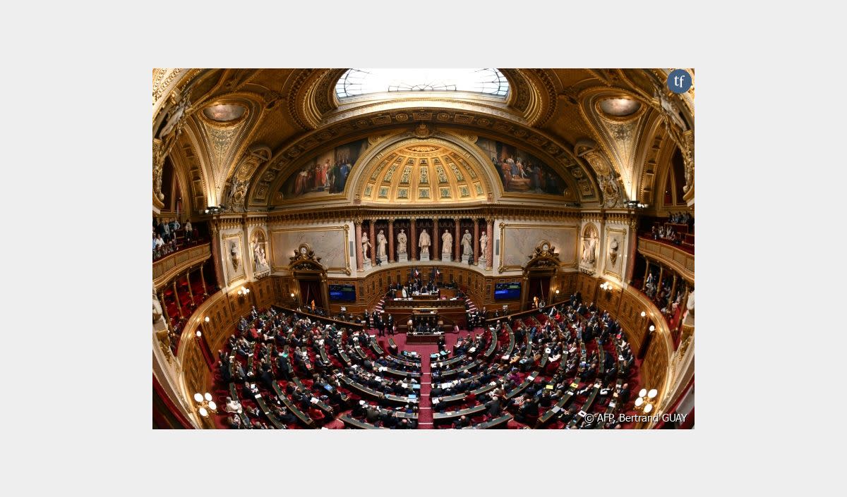 "Offensive transphobe !", "réac" : c'est quoi ce texte polémique qui déchire le Sénat ? Le Sénat, le 2 avril 2024 à Paris - AFP, Bertrand GUAY