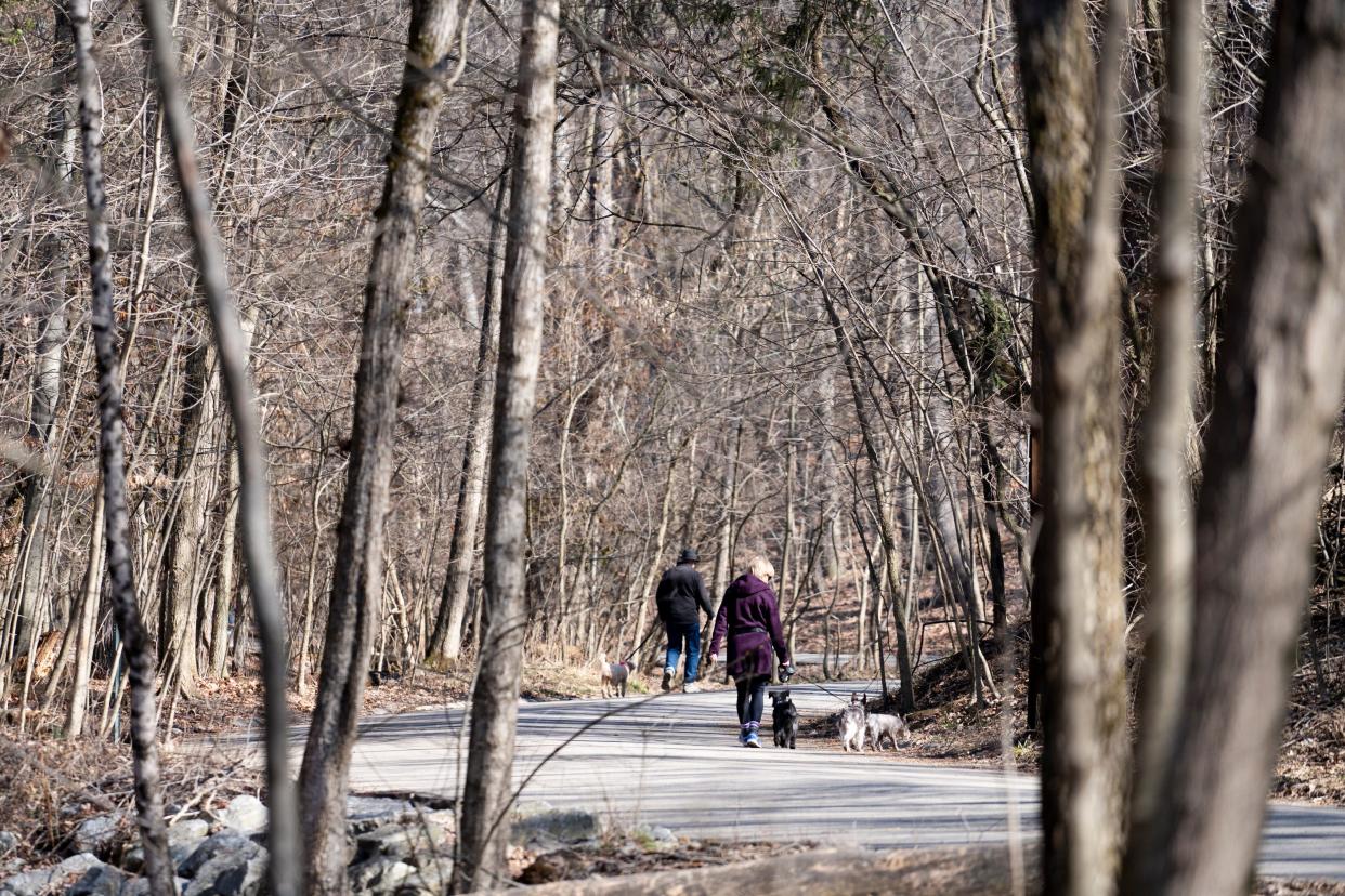 Many residents walk Walhalla Road in Clintonville. The city is creating a plan to deal with storm water in Walhalla Ravine, including possibly a retaining wall and guardrail along the road between Clinton Heights and Longview avenues, west of Indianola.