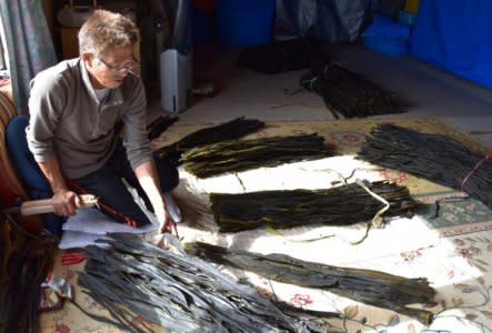 Seaweed farmer Masaji Numadate, 54, touches dried seaweed inside his workplace in Erimo Town, on Japan's northern island of Hokkaido, October 12, 2017. Picture taken October 12, 2017.  REUTERS/Malcolm Foster