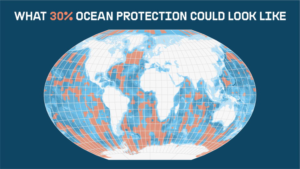 （點圖可放大）綠色和平研究團隊提出的保護30%海洋設計藍圖