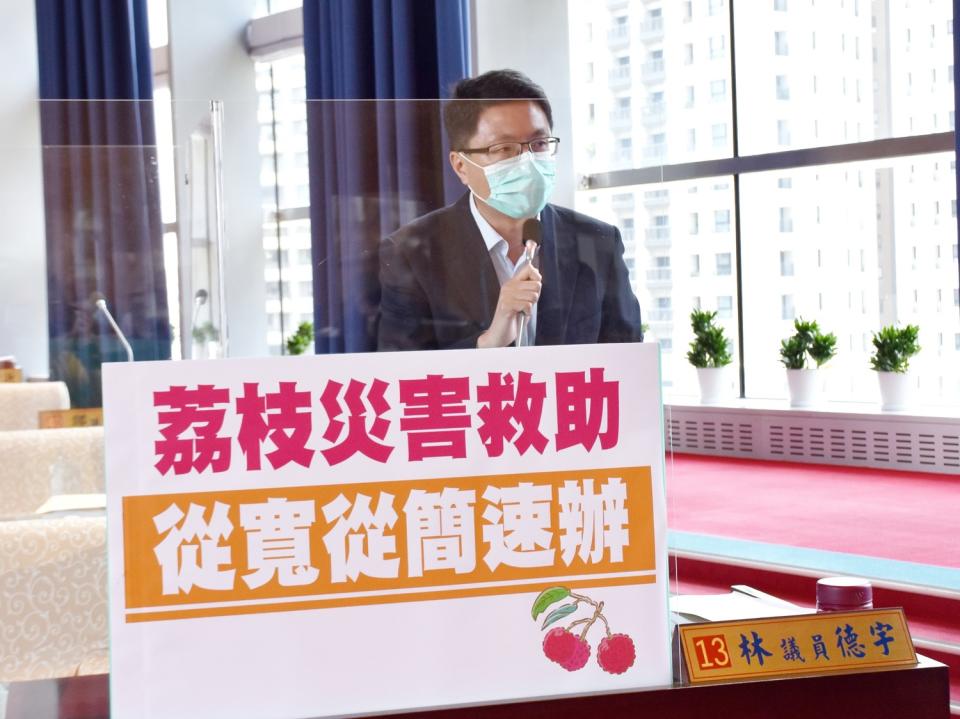 台中市議員林德宇說，大里區荔枝今年受旱災影響災損情形嚴重，要求農業局盡速辦理現金救助。   圖：台中市議員林德宇/提供