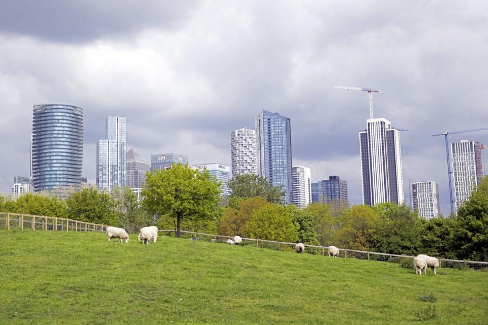 Skyline from Mudchute Park (Daniel Lynch)