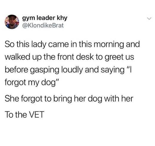 tweet about a lady forgetting to bring her dog to the vet