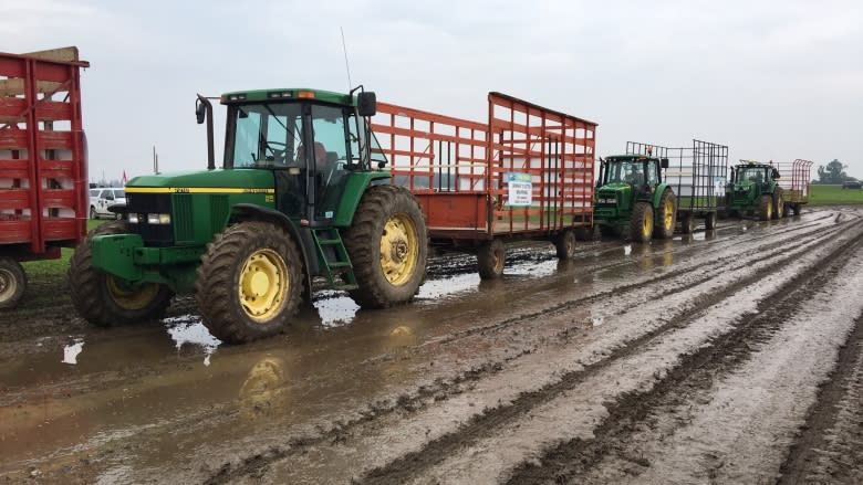 Ontario party leaders fling mud over minimum wage at Plowing Match