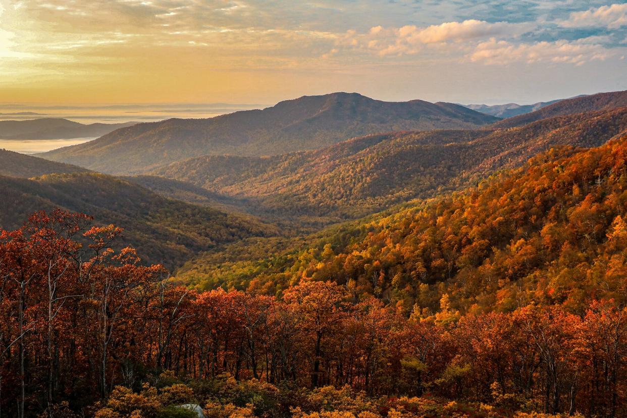 Fall in Shenandoah National Park