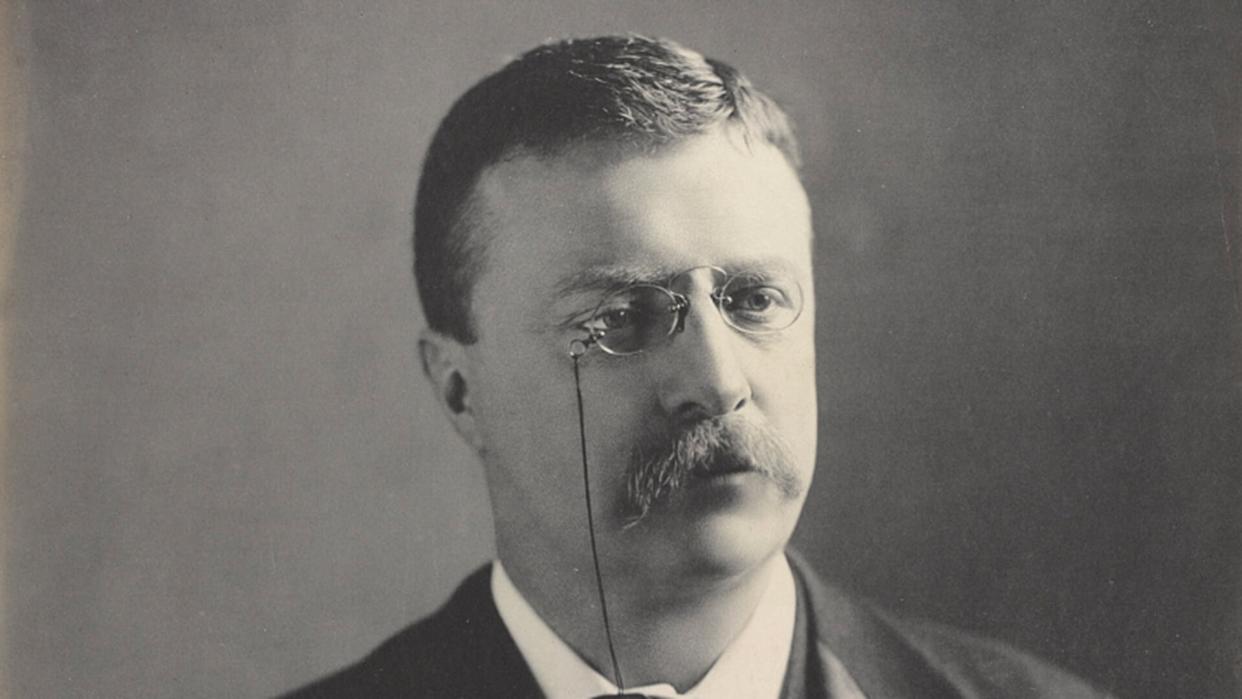 Theodore Roosevelt