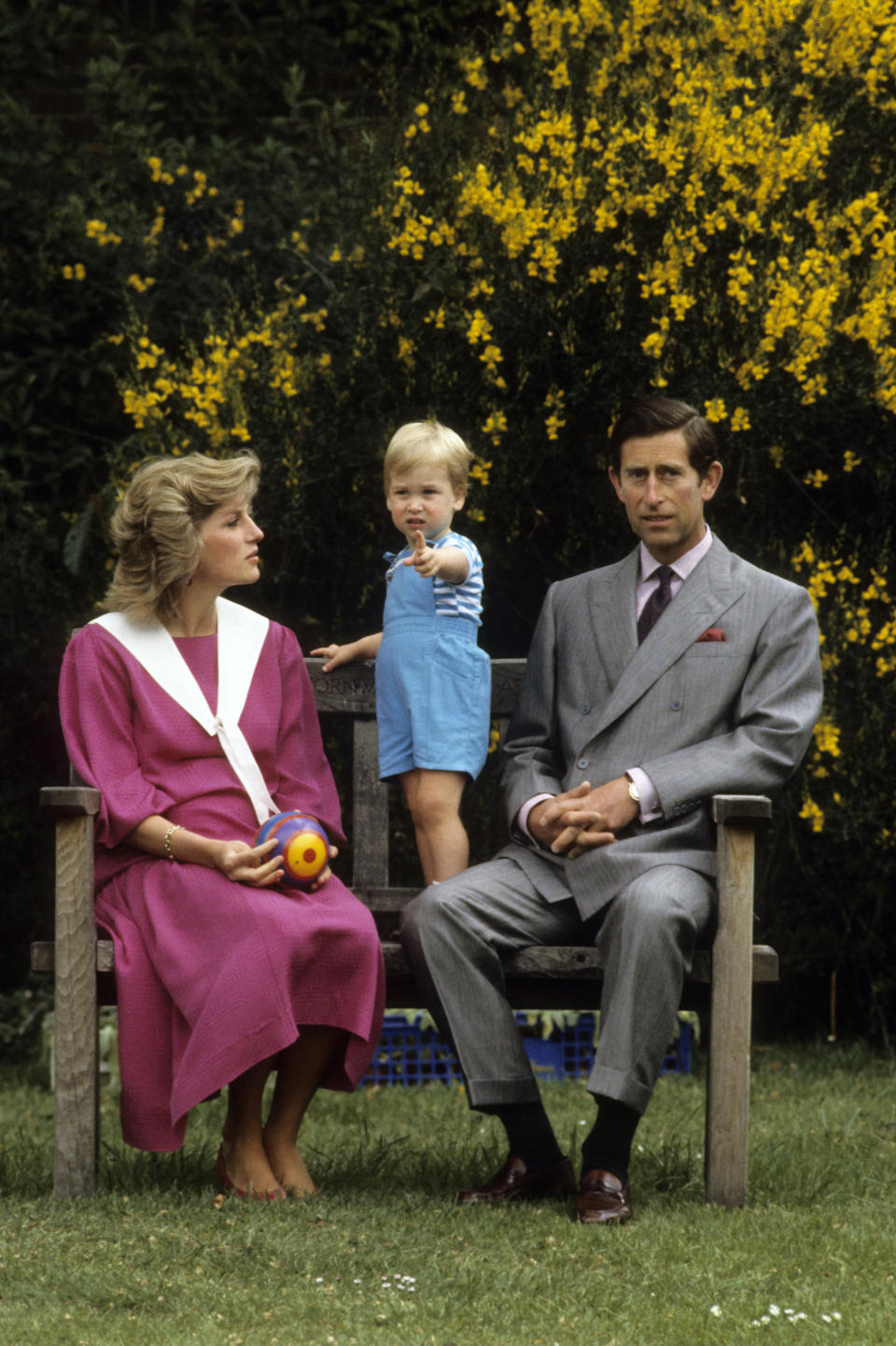 Prince Charles, Prince of Wales and Diana, Princess of Wales, william (Anwar Hussein / Getty Images)