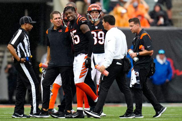 Bengals' Tee Higgins exits Steelers game after big hit, ruled out