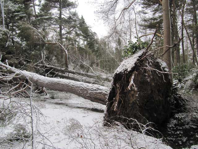 Storm Arwen damage