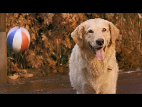 6) Air Bud (1997)