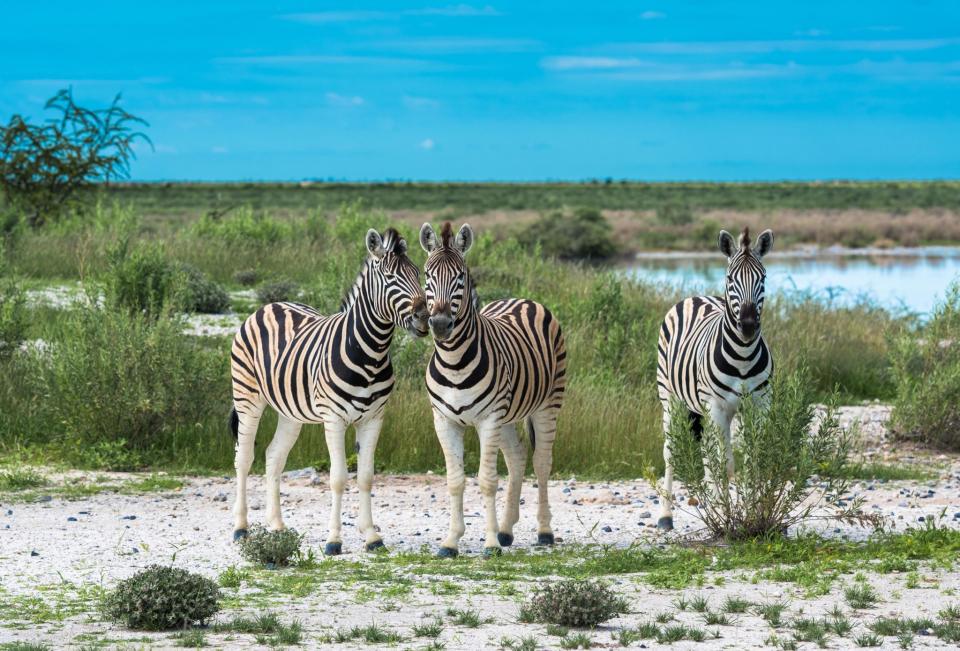 25. Unbekanntes Afrika