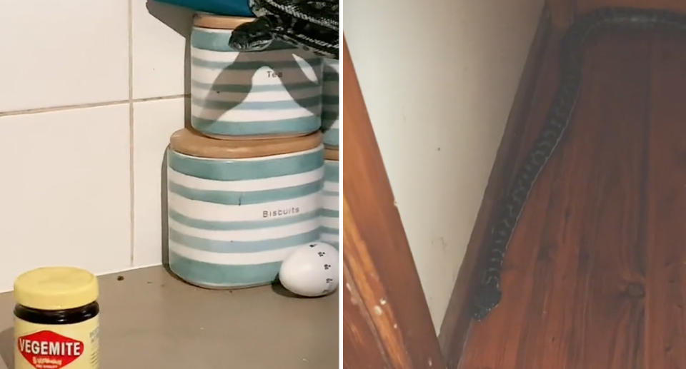 A photo of the snake next to a jar of vegemite, and another photo of the snake on the woman's wooden floor near her bedroom.