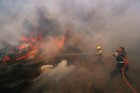 Firefighters help to put out a forest fire near the village of Vila de Rei,